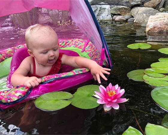 Ponds, pondless water features, fountainscapes, and high-end aquatic landscaping for Massachusetts and beyond