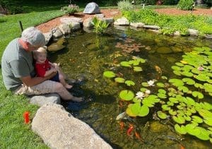 Ponds, pondless water features, fountainscapes, and high-end aquatic landscaping for Massachusetts and beyond