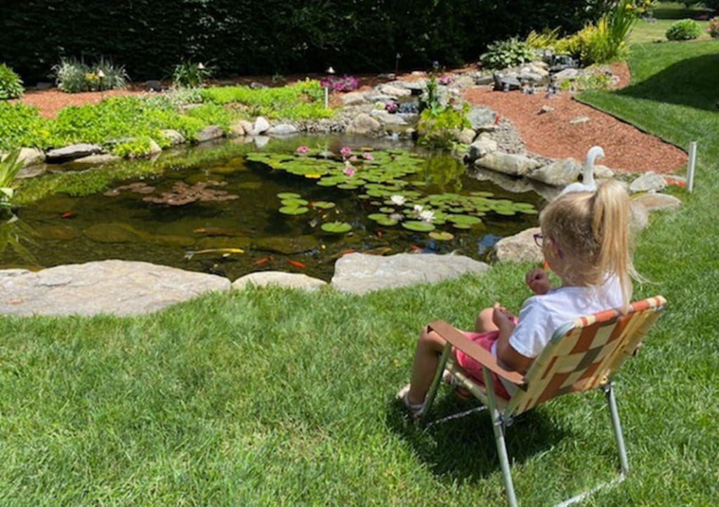 Ponds, pondless water features, fountainscapes, and high-end aquatic landscaping for Massachusetts and beyond