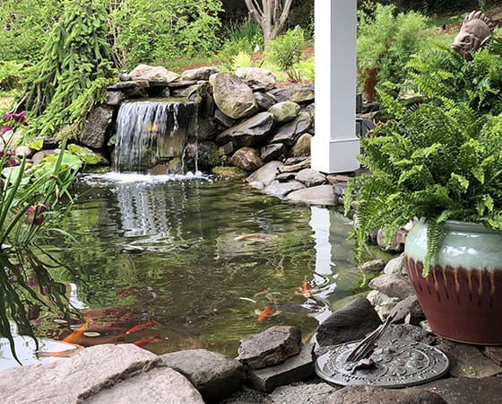 Ponds, pondless water features, fountainscapes, and high-end aquatic landscaping for Massachusetts and beyond