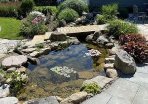 Ponds, pondless water features, fountainscapes, and high-end aquatic landscaping for Massachusetts and beyond