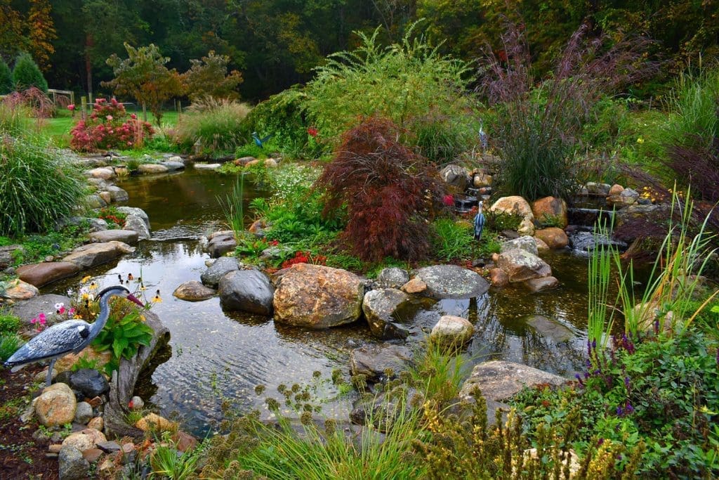 Lush garden with pond and rocks