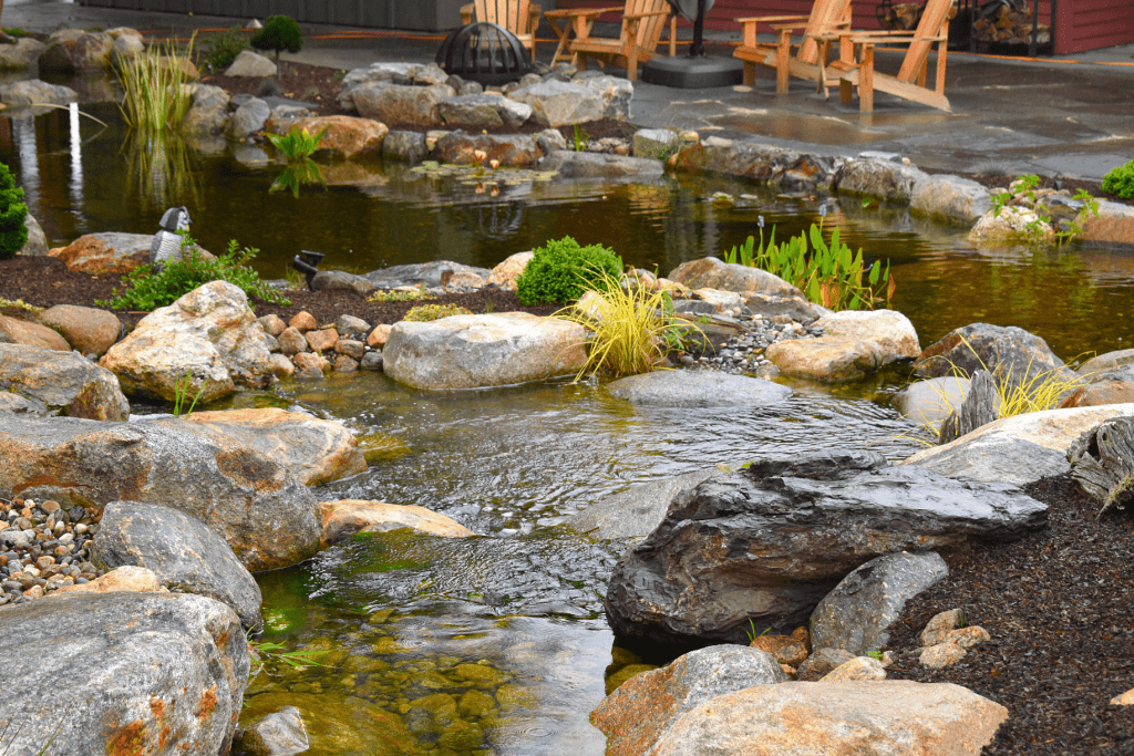 Serene garden pond with rocks and plants.