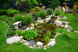 Serene garden pond with rocks and greenery.