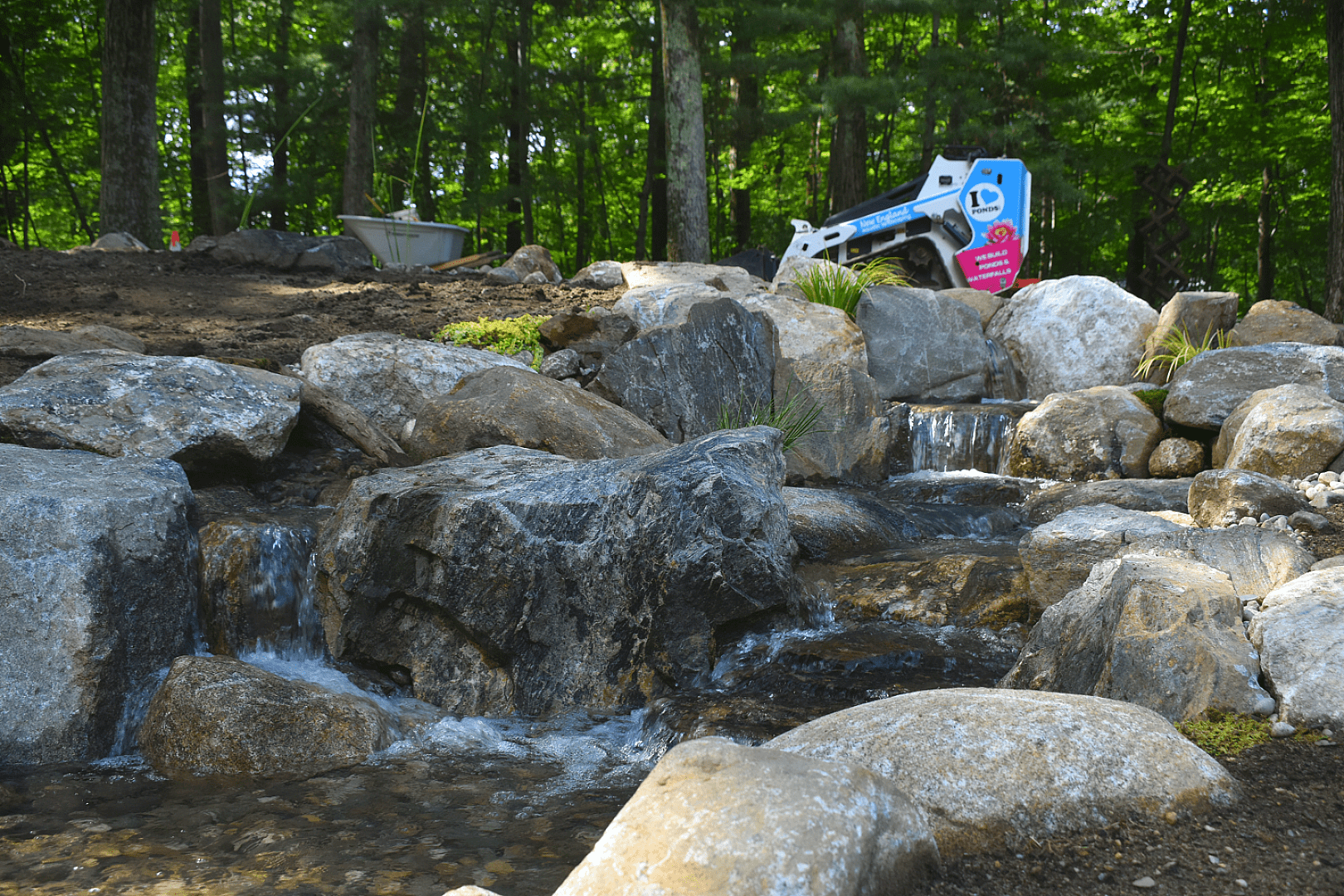 Constructed Wetland Filtration
