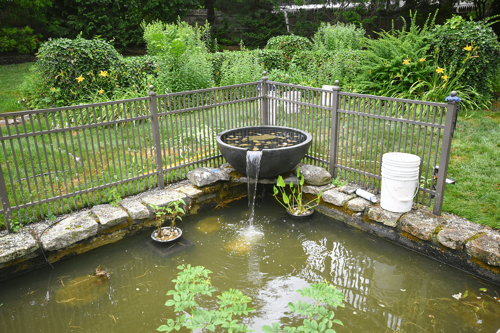Historic Formal Pond in Newton, Massachusetts