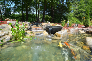 Serene garden pond with koi fish and plants.