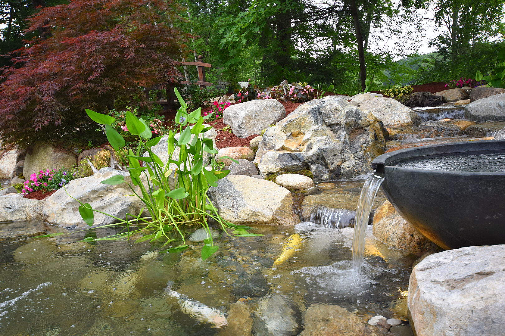 Pond with Fish Cave and Waterfalls