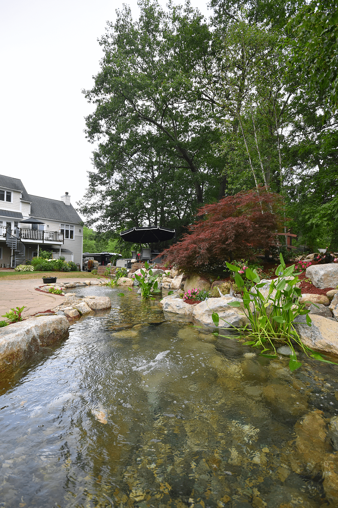 Wetland Filtration System
