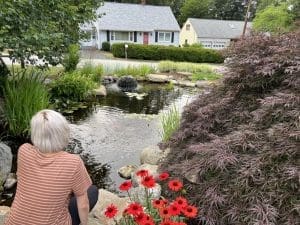 Person by garden pond with flowers and shrubs.
