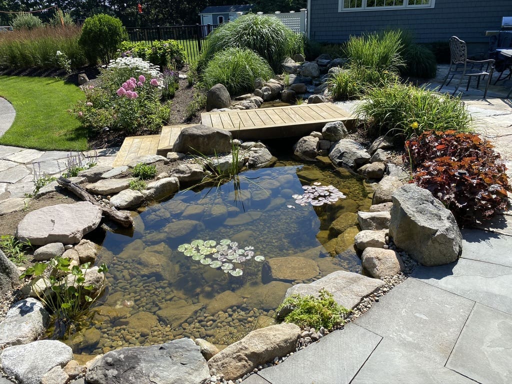Backyard pond with rocks and flowers.