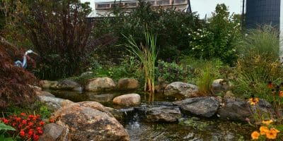 CARROLL(12) Garden pond with rocks and flowers