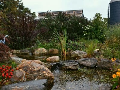 Garden pond with rocks and flowers