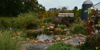 CARROLL(6) Lush garden with pond and greenhouse.