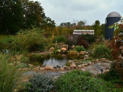 Lush garden with pond and greenhouse.