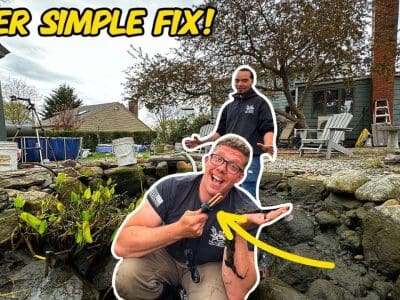 How to Prevent String Algae in Your Pond