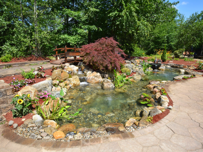 Garden pond with bridge and colorful plants