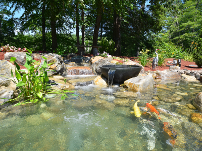 Serene garden pond with koi fish and plants.