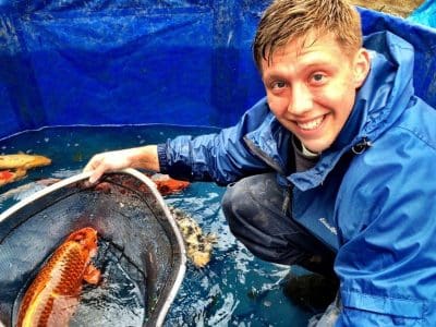 Person with koi fish in a tank.