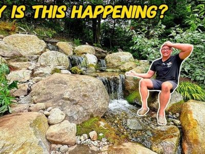 Understanding Waterfall Leaks and How to Fix Them