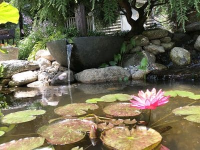 Ponds, pondless water features, fountainscapes, and high-end aquatic landscaping for Massachusetts and beyond