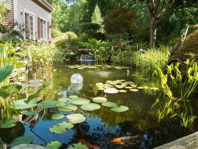 Ponds, pondless water features, fountainscapes, and high-end aquatic landscaping for Massachusetts and beyond