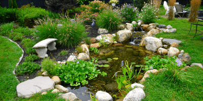 medium(3)-min Serene garden pond with rocks and greenery.