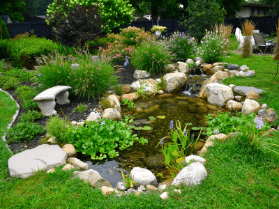 Serene garden pond with rocks and greenery.