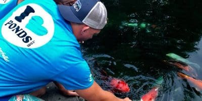 New England Aquatic Landscaping Ponds, pondless water features, fountainscapes, and high-end aquatic landscaping for Massachusetts and beyond