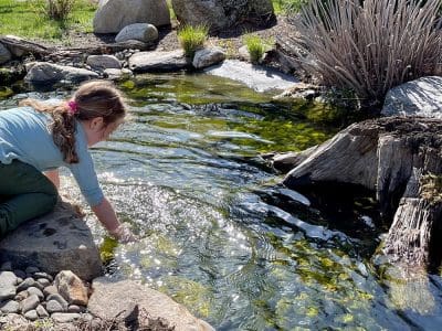 Ponds, pondless water features, fountainscapes, and high-end aquatic landscaping for Massachusetts and beyond