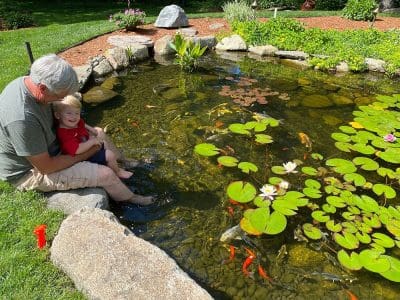 Ponds, pondless water features, fountainscapes, and high-end aquatic landscaping for Massachusetts and beyond