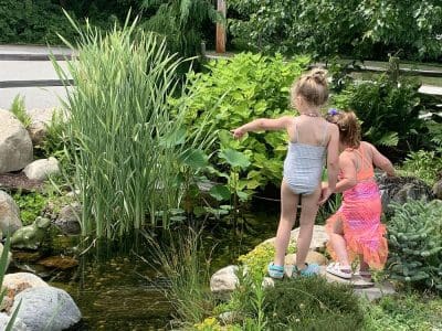 Ponds, pondless water features, fountainscapes, and high-end aquatic landscaping for Massachusetts and beyond