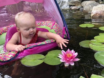Ponds, pondless water features, fountainscapes, and high-end aquatic landscaping for Massachusetts and beyond