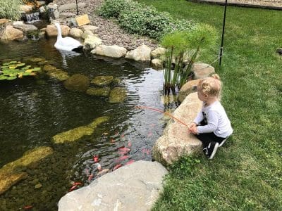 Ponds, pondless water features, fountainscapes, and high-end aquatic landscaping for Massachusetts and beyond