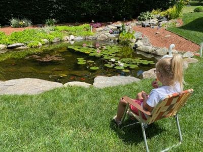 Ponds, pondless water features, fountainscapes, and high-end aquatic landscaping for Massachusetts and beyond