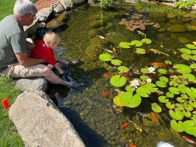 Ponds, pondless water features, fountainscapes, and high-end aquatic landscaping for Massachusetts and beyond