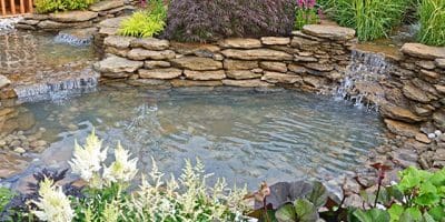 pond-maintenance pond-maintenance