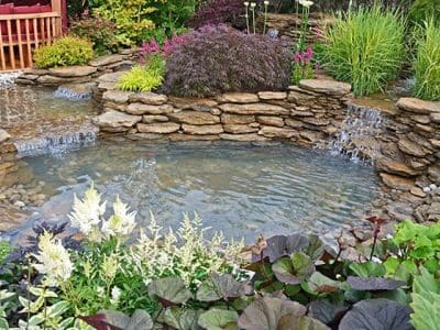 pond-maintenance
